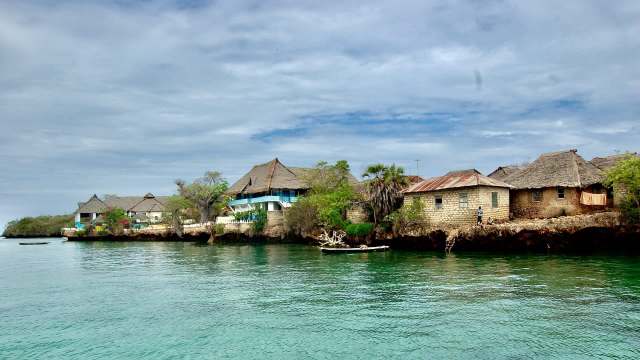 A new study highlights how the loss of Kenya's mangrove forests has significant cultural and economic implications.