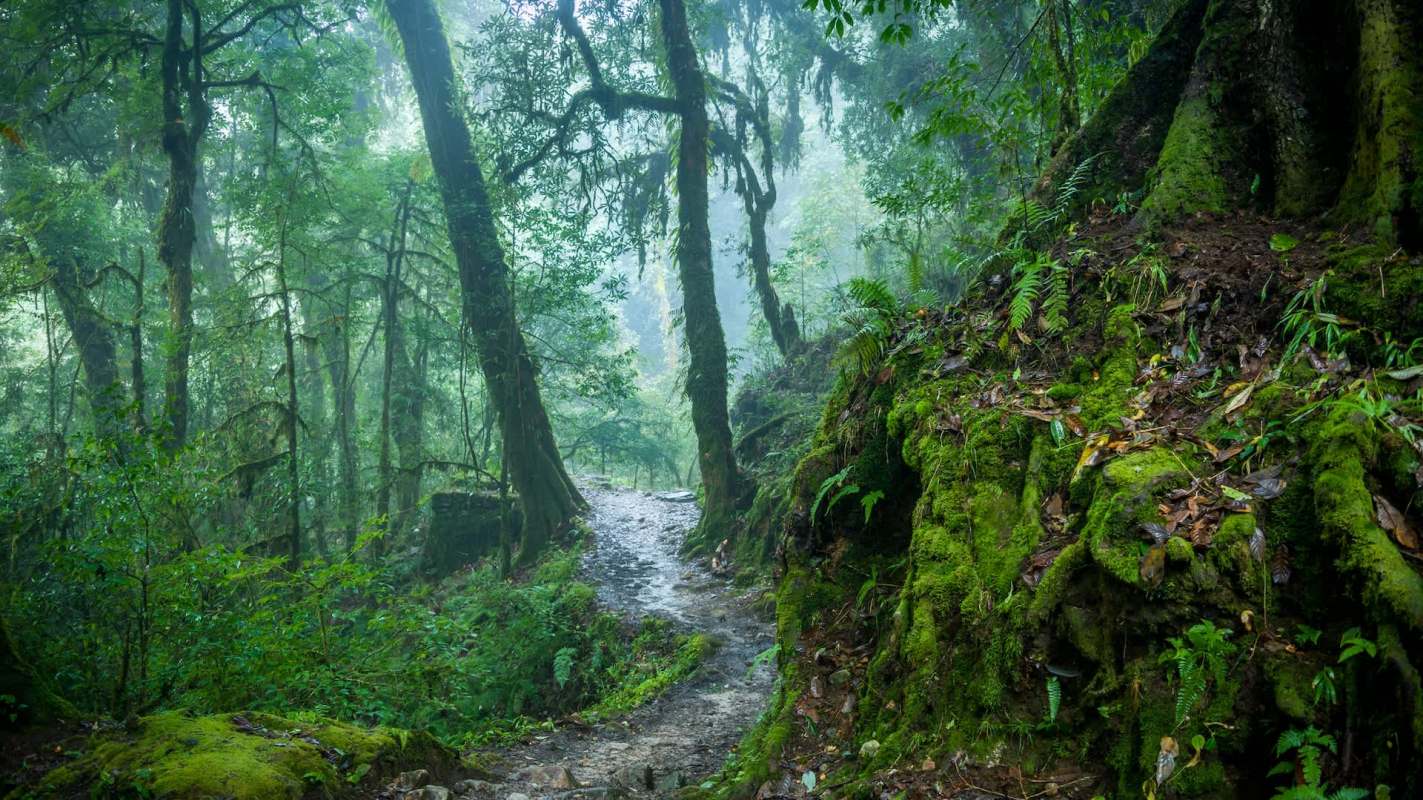 Conservationists have warned that a night safari proposed by a regional government will threaten one of the most ecologically important nature reserves in Lucknow, India.