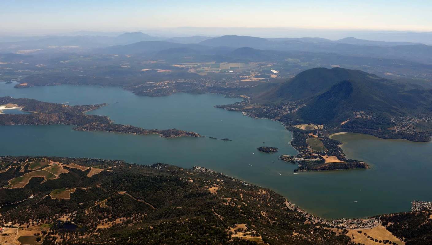A 6-year-old chocolate Labrador retriever named Edna is helping rid a California lake of invasive mollusks.