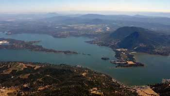 A 6-year-old chocolate Labrador retriever named Edna is helping rid a California lake of invasive mollusks.