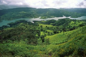 Authorities in Maharashtra, India, recently intercepted the smuggling operation of 2.4 metric tons of African catfish.