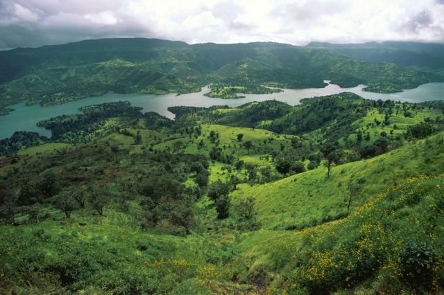 Authorities in Maharashtra, India, recently intercepted the smuggling operation of 2.4 metric tons of African catfish.