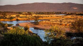 Environmental experts are warning that the invasive Mauritius thorn plants are threatening rivers and wetlands across Kenya.