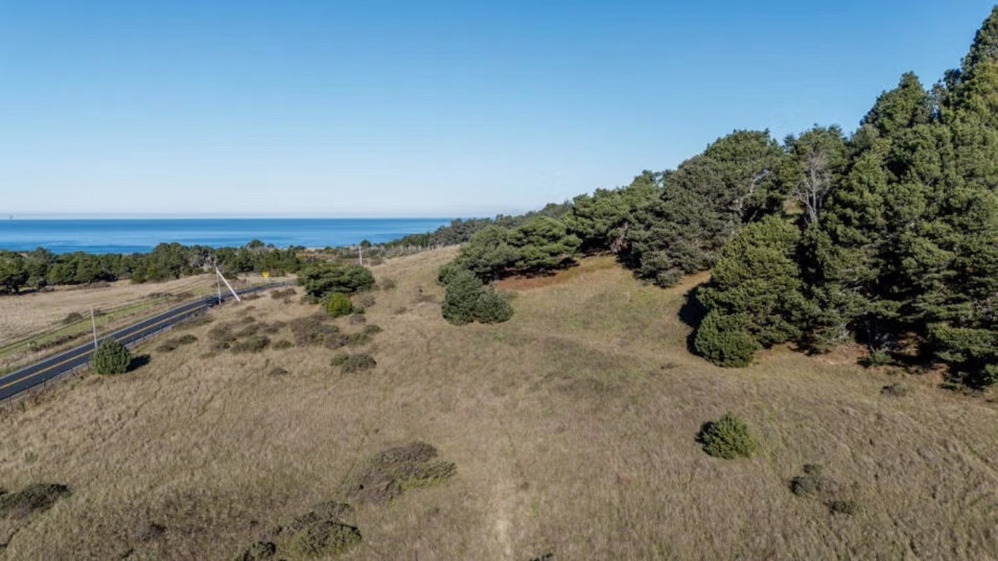 A 20-acre land donation will support the Mendocino Land Trust's mission to ensure people have access to clean water and nature for years to come.