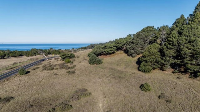 A 20-acre land donation will support the Mendocino Land Trust's mission to ensure people have access to clean water and nature for years to come.