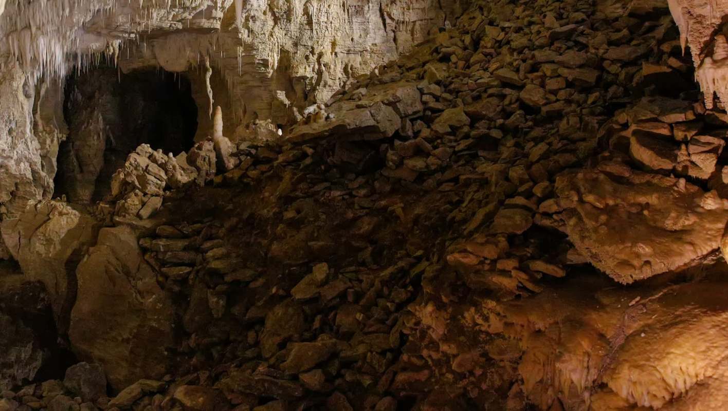 Fossils were found in the Moa Eggshell Cave on New Zealand's North Island and contain 12 species of extinct birds and and four of extinct frogs.