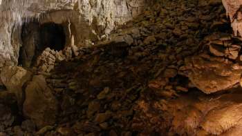 Fossils were found in the Moa Eggshell Cave on New Zealand's North Island and contain 12 species of extinct birds and and four of extinct frogs.