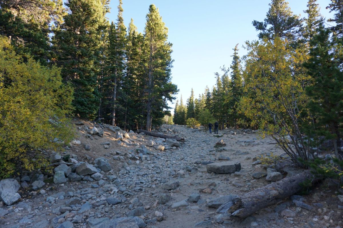 Aerial surveys produced by the U.S. Forest Service over the last year have found a fast-spreading beetle infestation in Colorado's Front Range mountains.