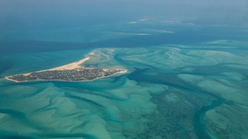 Oil and gas giant TotalEnergies allegedly cut through a Mozambique coral reef, causing significant damage.