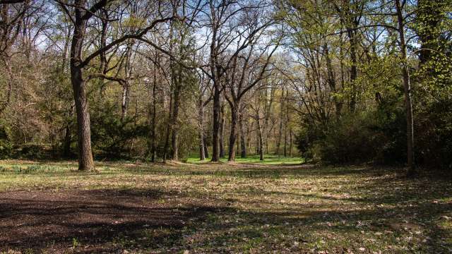 The city of New Albany, Indiana, took decisive action amid local outcry over a strangely secretive planned deer cull.