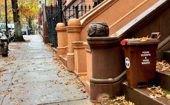 New York City is now enforcing its mandatory, citywide composting program, with fines for non-compliance.