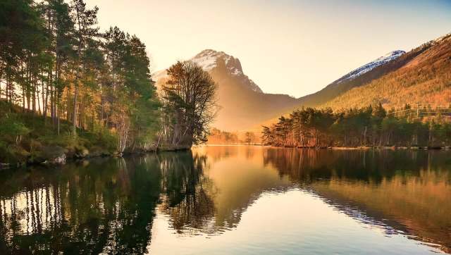 The Norwegian bird index across the past quarter century has shown a steady decline in 22 common avian species.