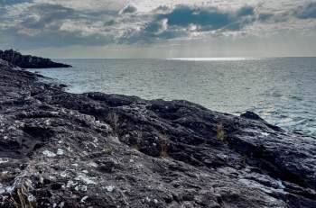 great lakes invasive species regulation