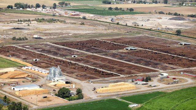 California is leading the charge on a groundbreaking climate initiative that promises to reduce methane emissions, clearing the air for millions.