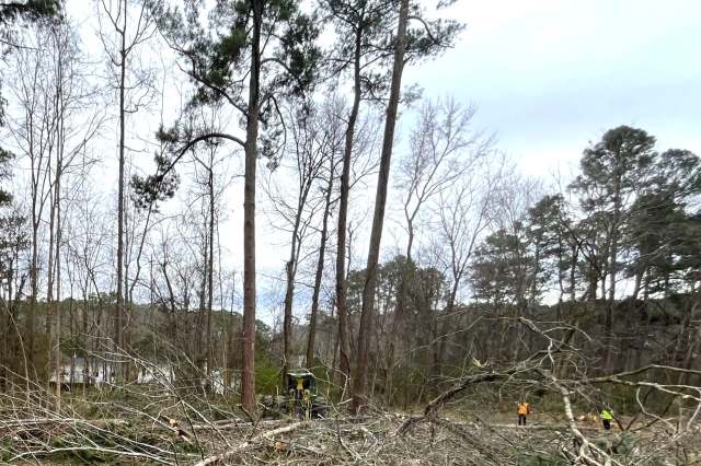 Officials in Pittsboro, North Carolina, launched an investigation after discovering an "unlawful" land-clearing operation.