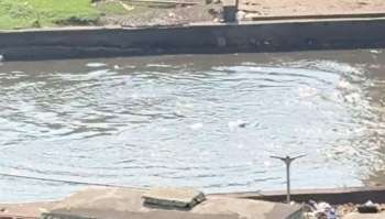 One Redditor shared a video of a Pune illegal dumping incident, enraging others who care about the Mula-Mutha River.