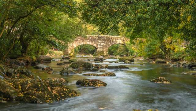 In a major win for river conservation, a decade-long restoration project on the River Teign is showing incredible results for Atlantic salmon.