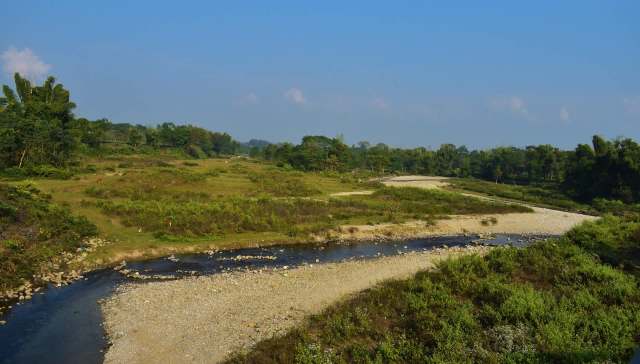 A Royal Bengal tiger has been seen in Upper Assam, India, demonstrating the benefits of conservation efforts.
