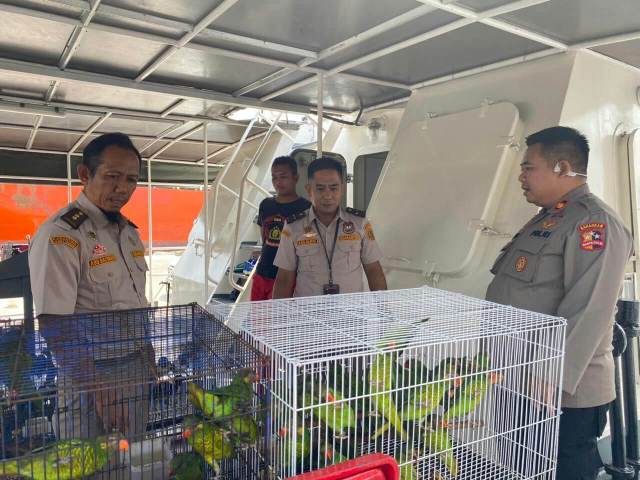 Indonesian officials intercepted a major smuggling operation involving nearly 200 birds.