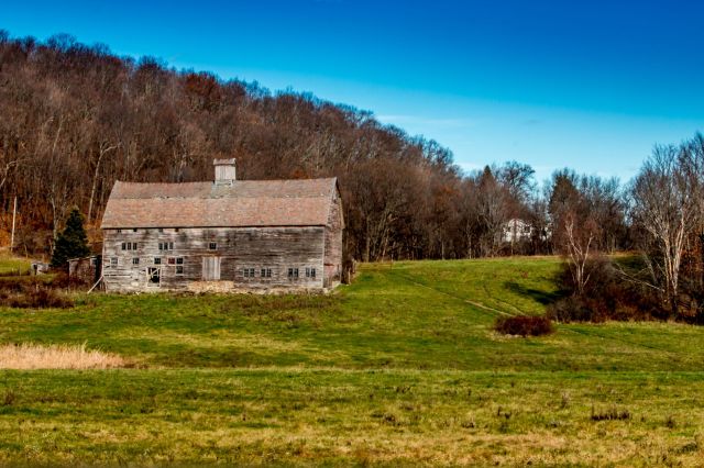 A Saratoga, California homeowner was left shaken up after her security camera recorded a mountain lion wandering onto her front porch.
