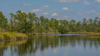 Grassroots conservation organization Save Our Southside raised $150,000, while commissioner Colton Wright worked to raise a further $850,000.