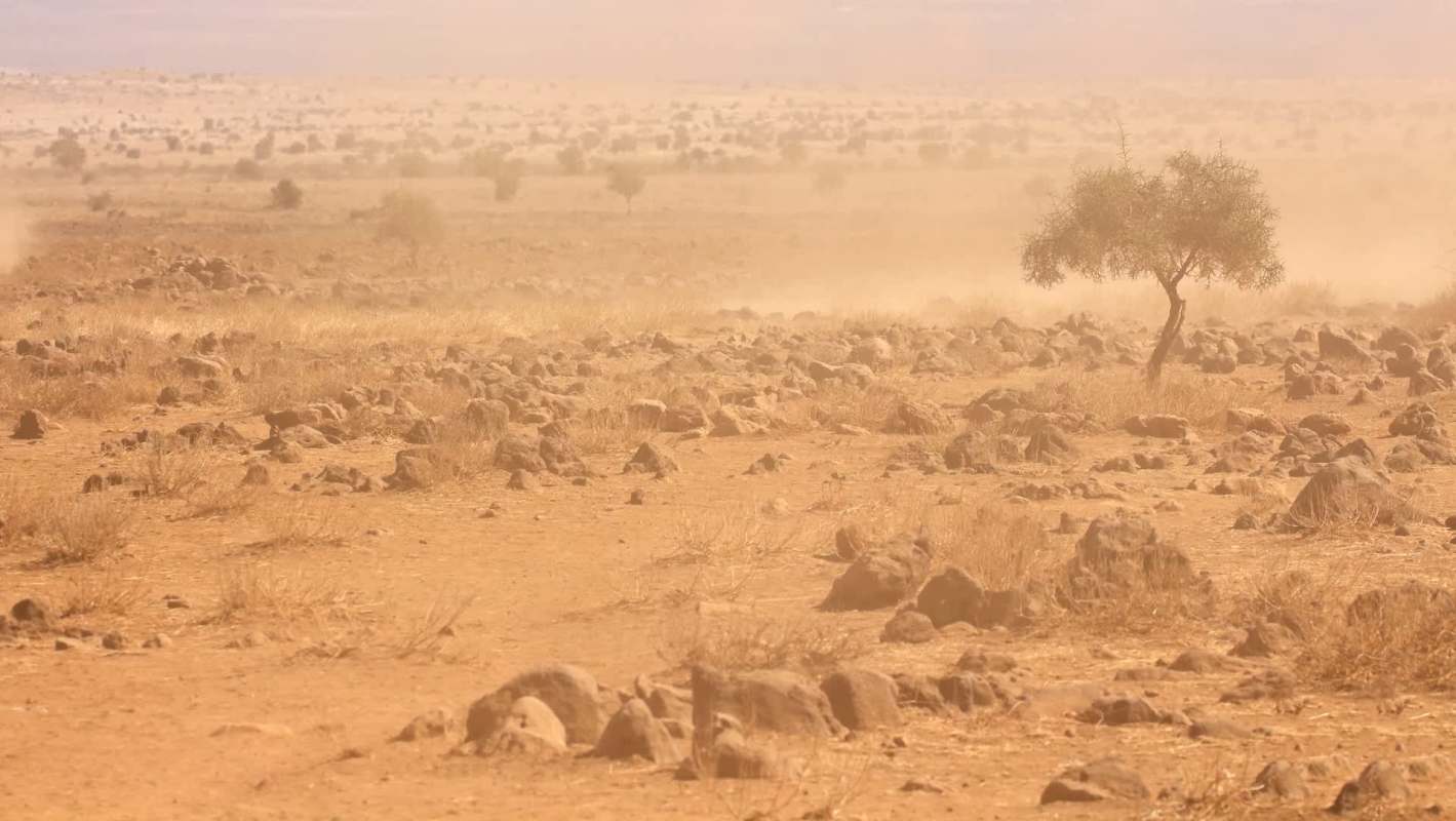 More than 3 million people in Somalia have left their homes following a devastating drought.