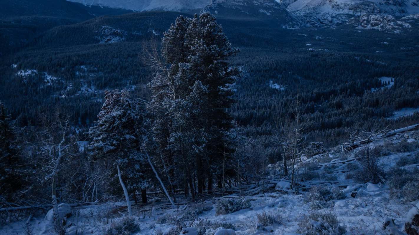 Locals, conservationists, and photographers were wracked with grief after learning that the famed elk, Split 5, was allegedly killed by a hunter.
