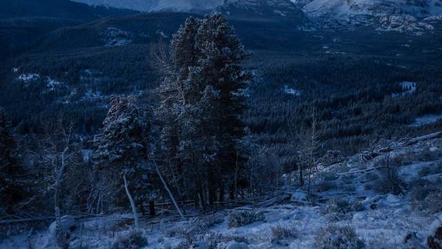 Locals, conservationists, and photographers were wracked with grief after learning that the famed elk, Split 5, was allegedly killed by a hunter.