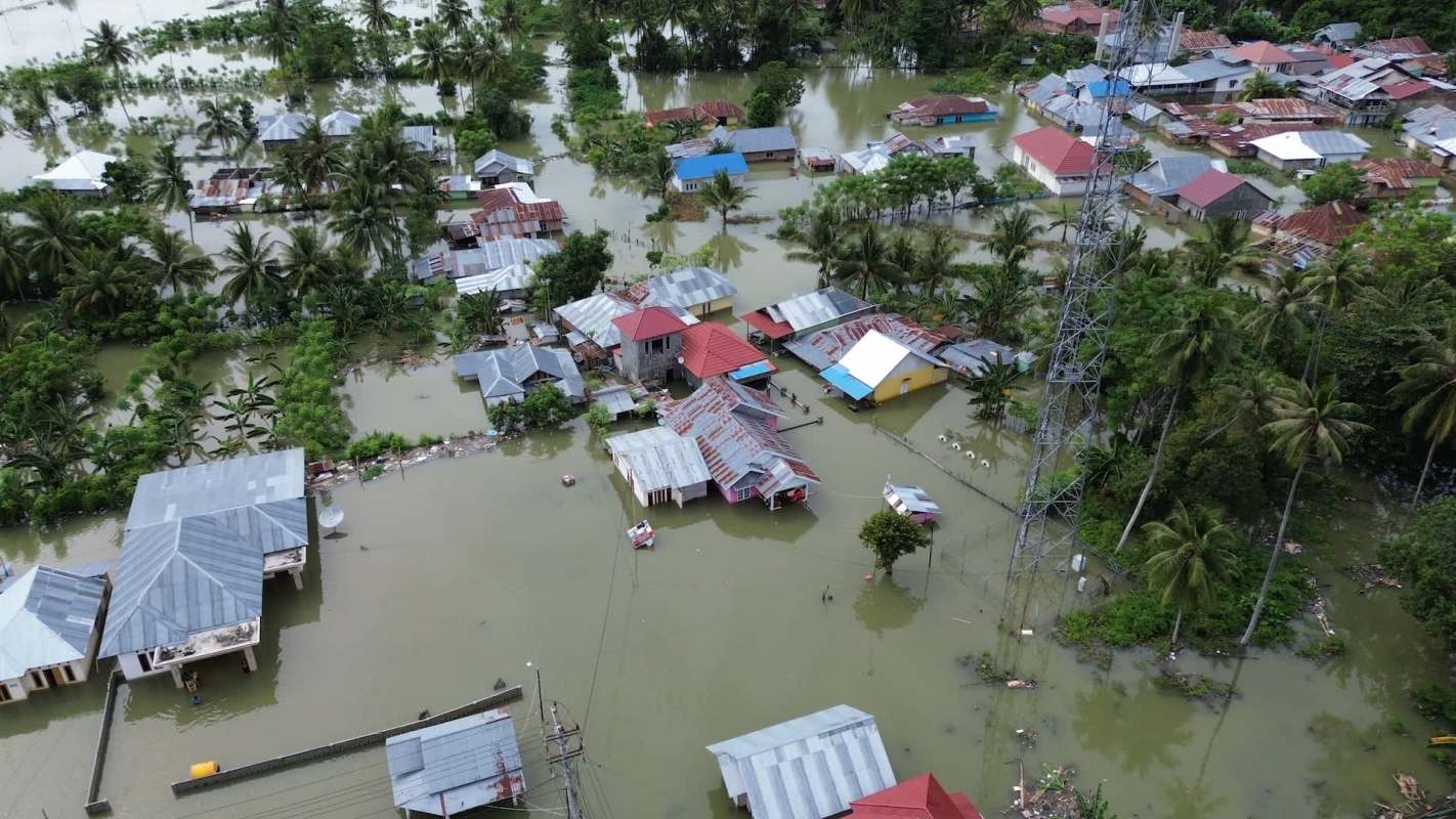 Indonesia is suing six companies that participated in the deforestation of a 2,500-hectare area in the Sumatra region for almost $300 million.