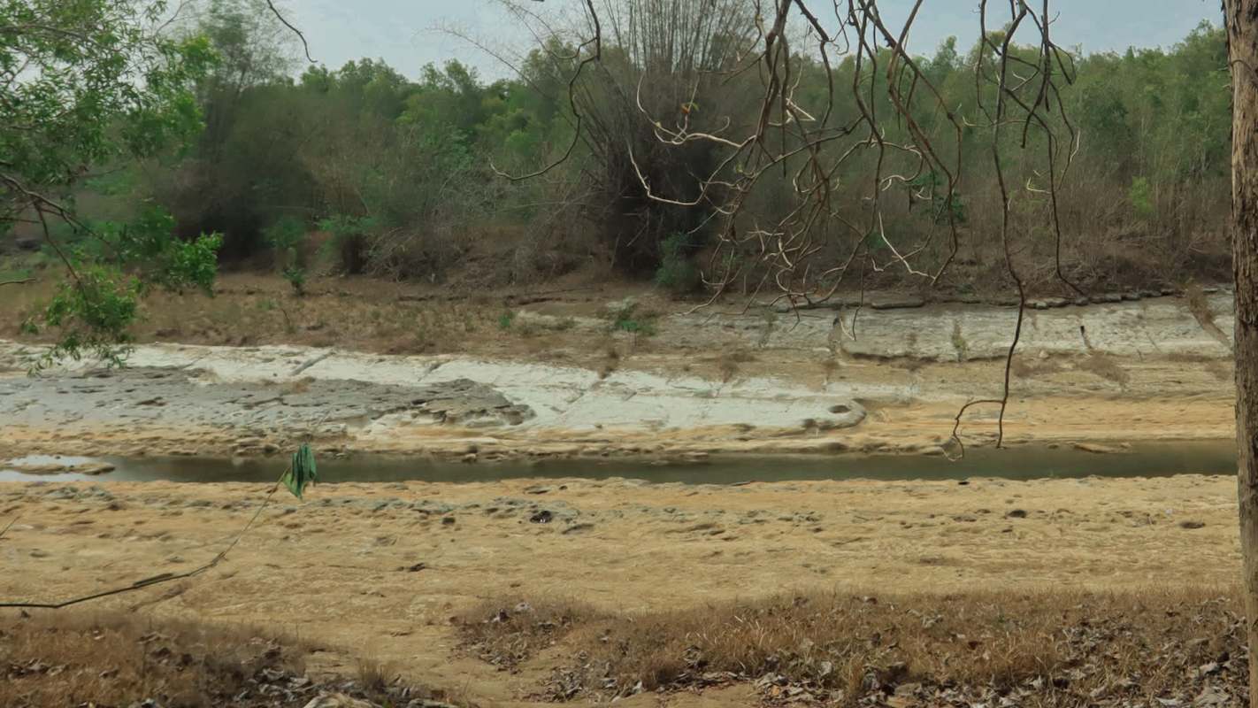 A recent sighting of a Sumatran tiger in Riau, Indonesia prompted surprise and excitement from both the public and officials, with video of the feline quickly appearing online.