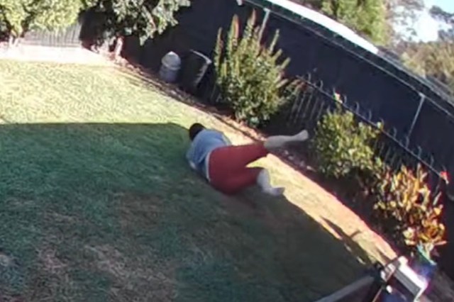 In Australia, a venomous snake wrapped around a woman's leg in her backyard.