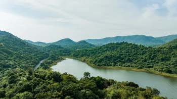 A British man was arrested for giving unauthorized tours of national parks in Thailand and advertising them on his personal website.