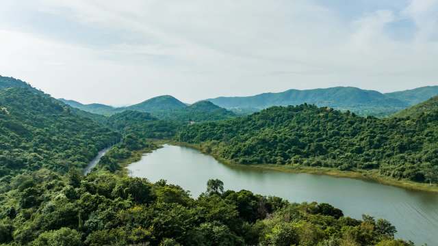 A British man was arrested for giving unauthorized tours of national parks in Thailand and advertising them on his personal website.
