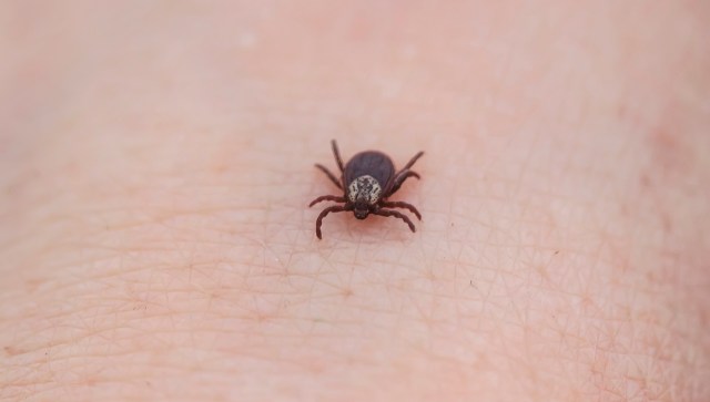 A 22-year-old Idaho woman’s battle with Lyme disease is putting a spotlight on a tick-borne illness that is becoming increasingly common and harder to diagnose in the U.S.