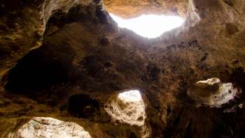 A Redditor shared footage of Vanalden Cave in Topanga State Park, covered from wall to wall with graffiti.
