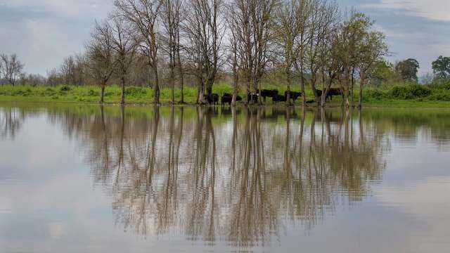 The U.K. has been hit hard by flooding, with southern England feeling the brunt of Storm Chandra.