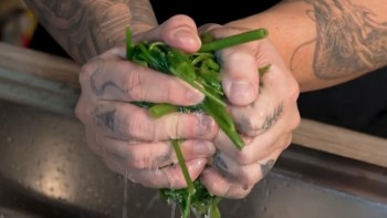 One chef on TikTok shared a recipe for water spinach, an invasive species, to help raise awareness about the plant's impact.