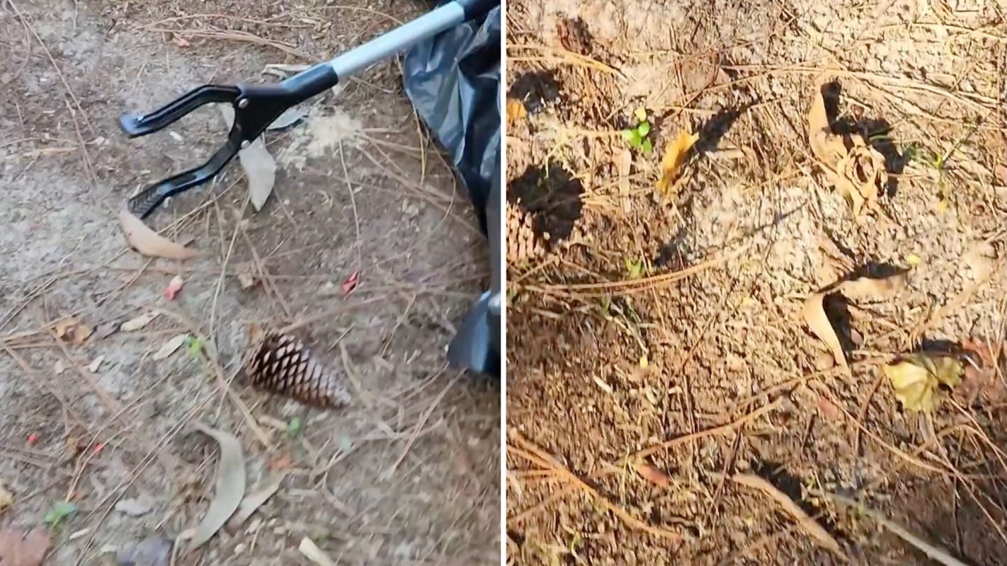 A Florida resident shared a public service announcement about invasive air potatoes — here's what you need to know.