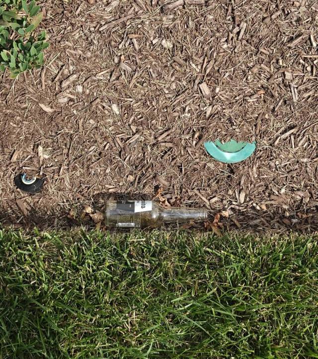 About half of a Nashville townhouse resident's neighbors are visitors staying in Airbnbs ... the travelers are mostly litterbugs.