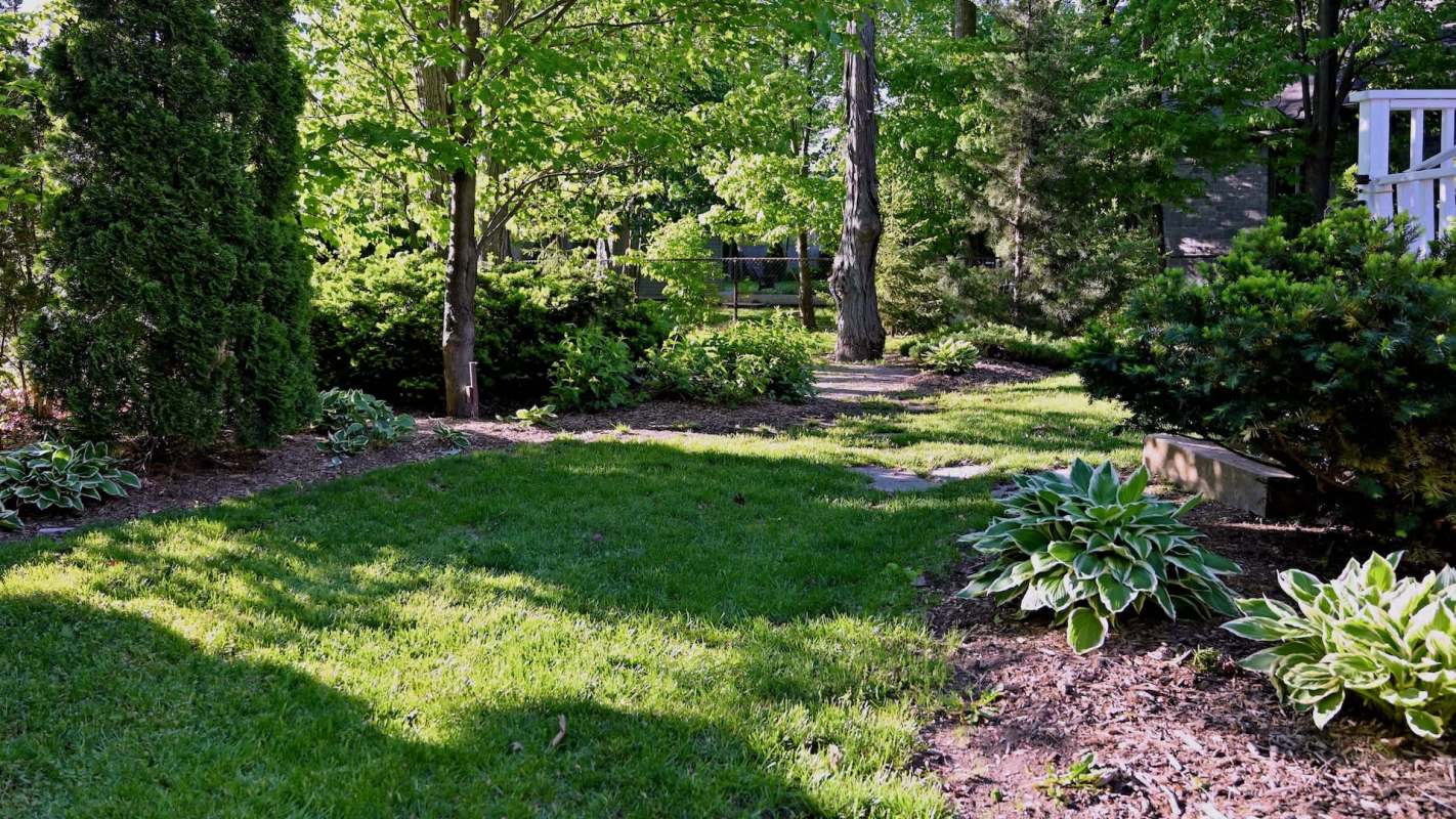 A funny TikTok video of a gardener chatting with a lizard that came to visit her yard has sparked joy among viewers.