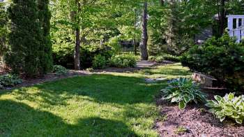 A funny TikTok video of a gardener chatting with a lizard that came to visit her yard has sparked joy among viewers.