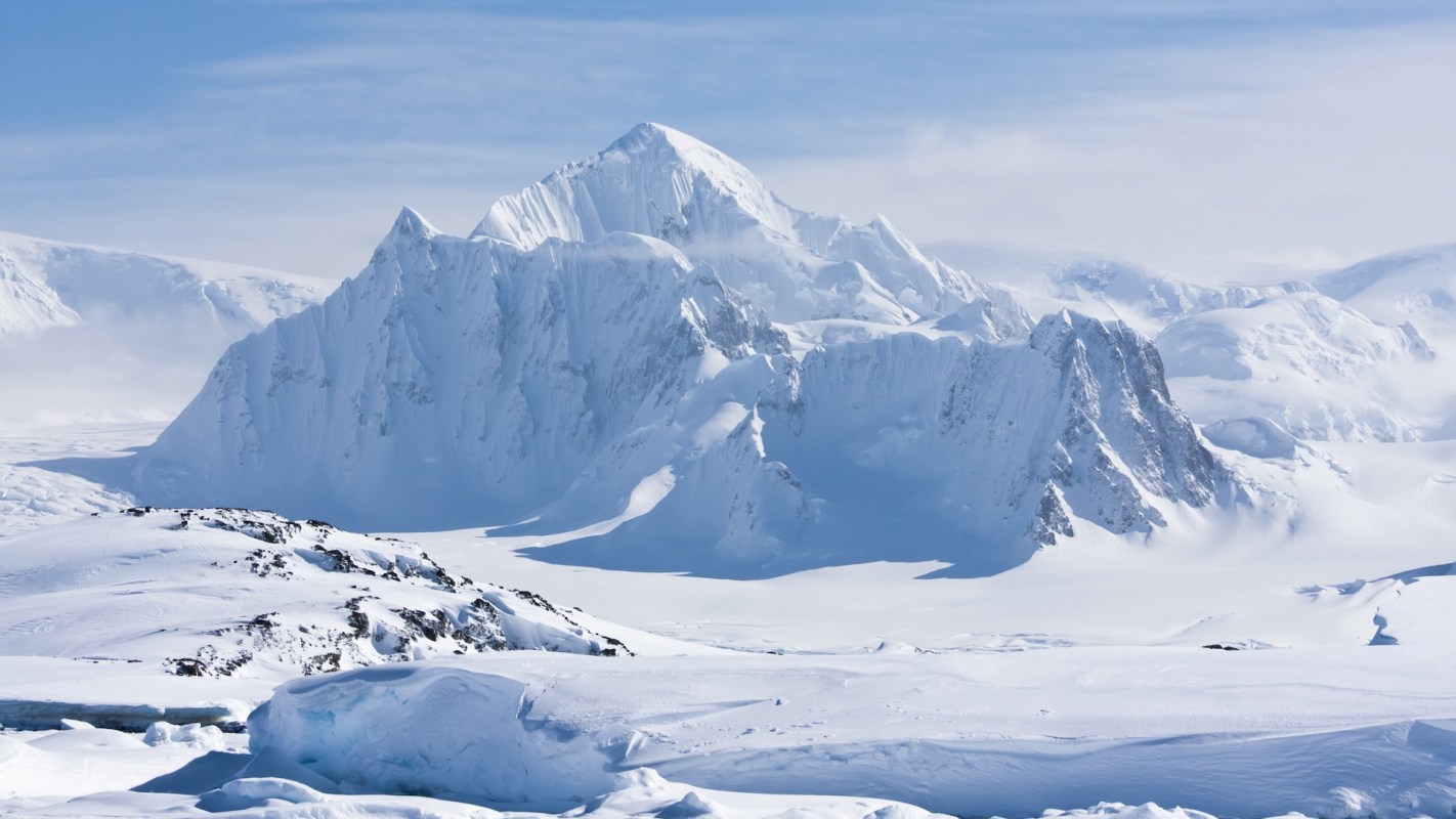 Scientists studying the digestive systems of Antarctic midges discovered microplastics, revealing additional evidence of the ubiquity of the pollutants.