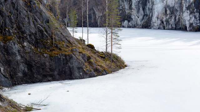 Japanese researchers spent two decades watching Arctic waters and what they discovered reveals how quickly the far north is transforming.