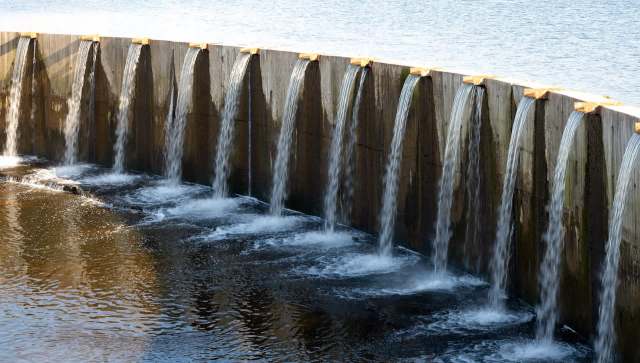 Artificial beaver dams can replicate the benefits of real ones, helping improve fish habitats and protect water quality.
