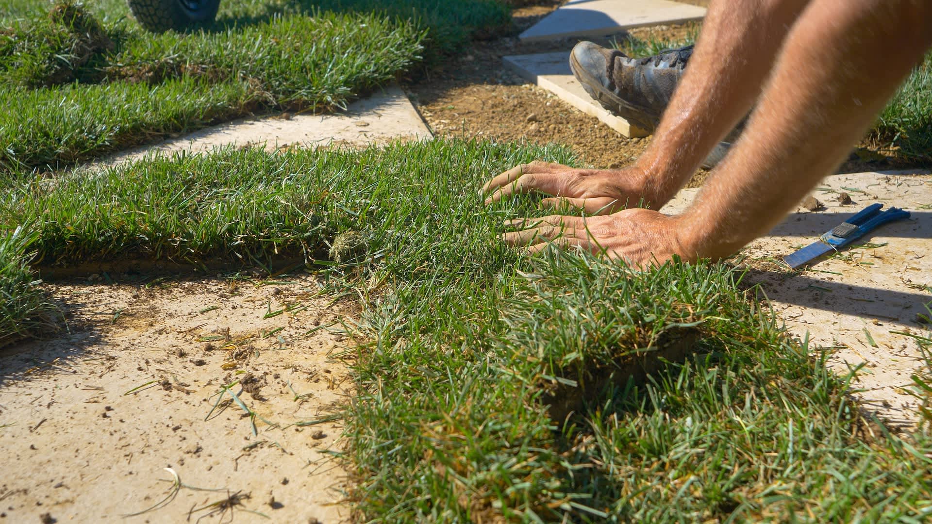 Homeowner's lawn choice ignites neighborhood war: 'It looks ugly, weeds still grow ... and it smells'