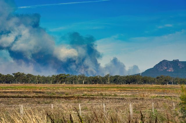 The unprecedented bushfire season in Australia left many families in shock. Now, they're dealing with loss and looking for ways to rebuild.
