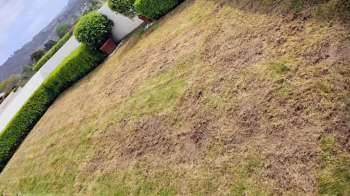A homeowner on Reddit posted about their backyard garden, sharing before-and-after photos of the transformation.