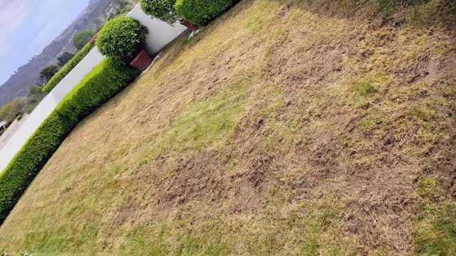 A homeowner on Reddit posted about their backyard garden, sharing before-and-after photos of the transformation.