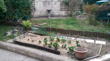 An Irish Redditor shared their incredible backyard transformation, detailing how the garden helped their mental health.