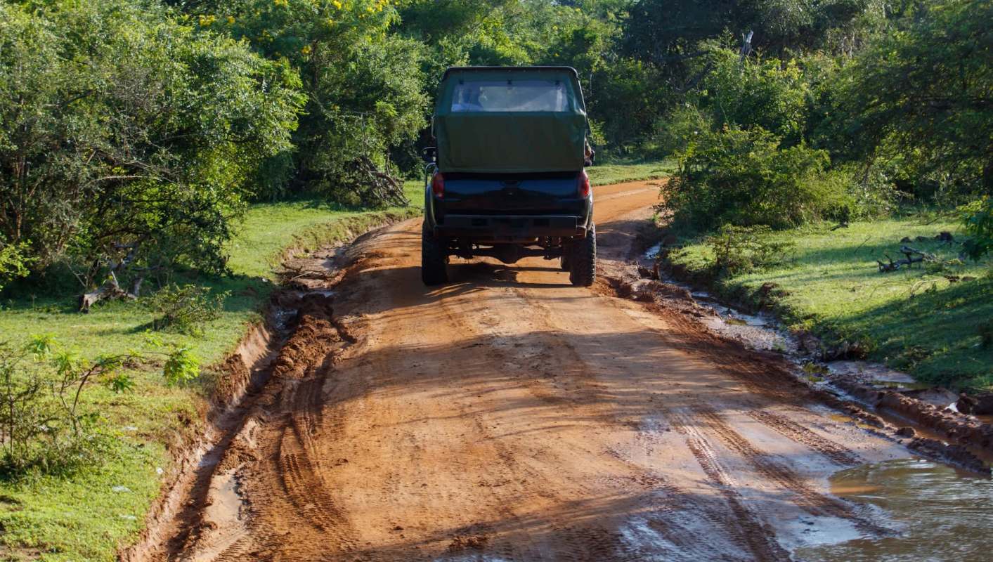 One Canadian family came to the aid of an injured bald eagle, helping to save its life.